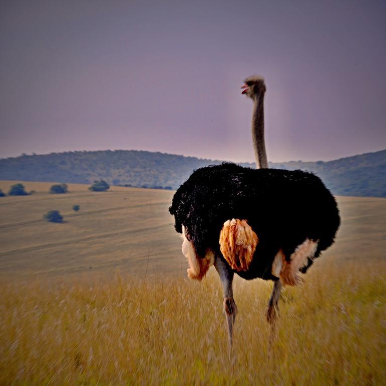 Kirkwood Umlambo River Lodge מראה חיצוני תמונה