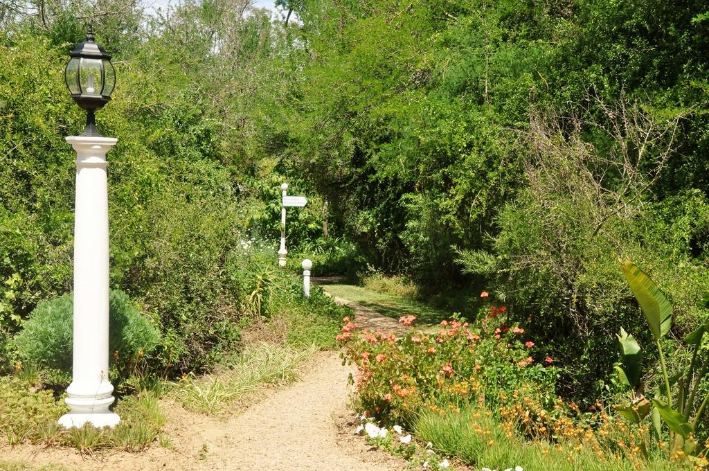 Kirkwood Umlambo River Lodge מראה חיצוני תמונה